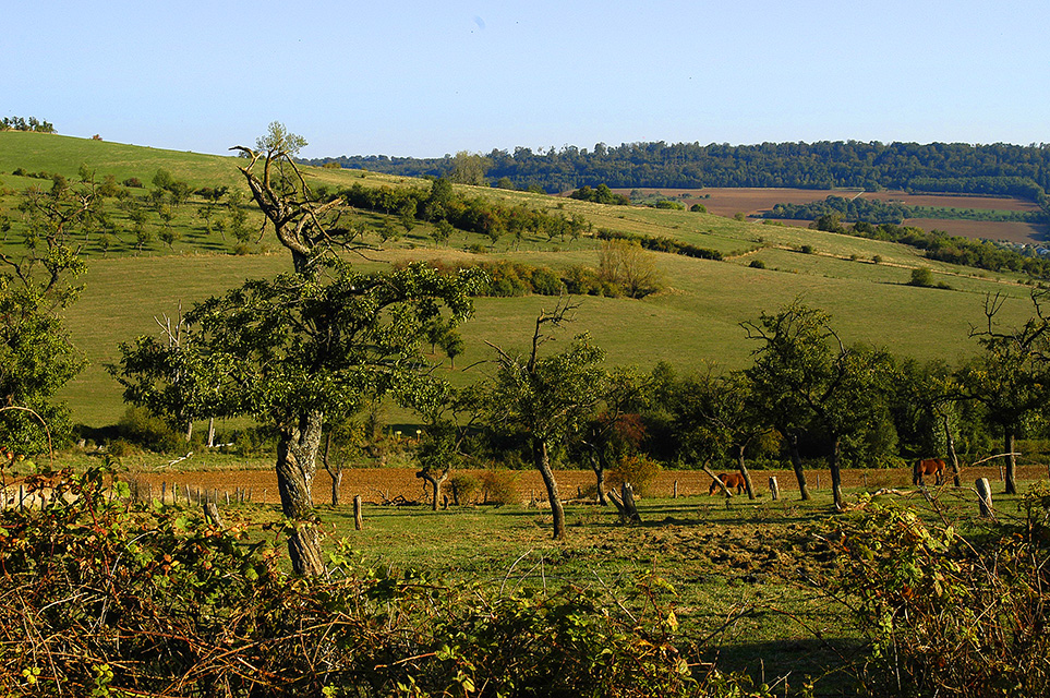 paysage de la lorraine