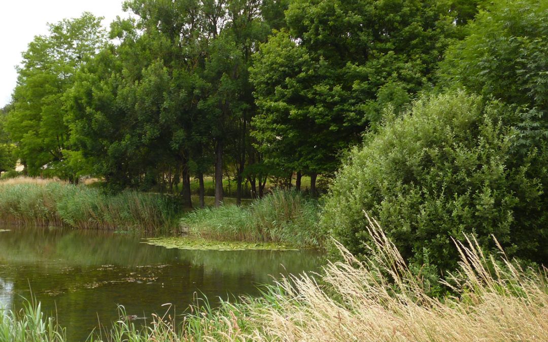 CHAMPIGNEULLES ENS BELLEFONTAINE