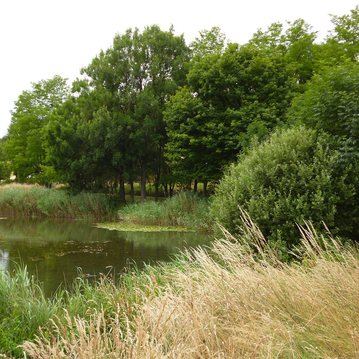 CHAMPIGNEULLES ENS BELLEFONTAINE