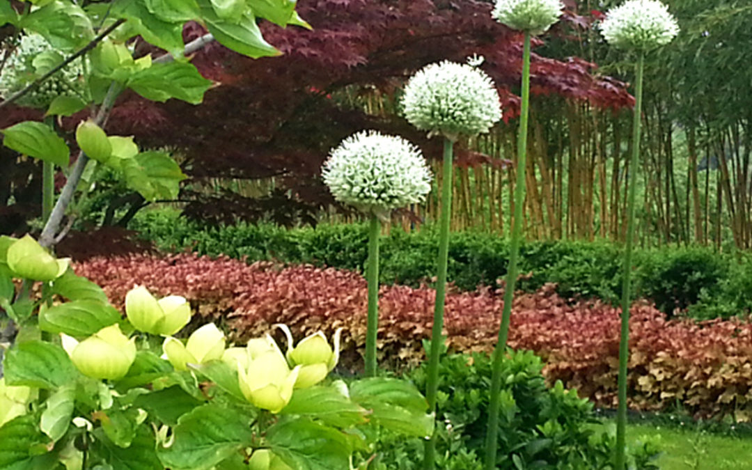 AUTREVILLE JARDIN SUR COTEAU