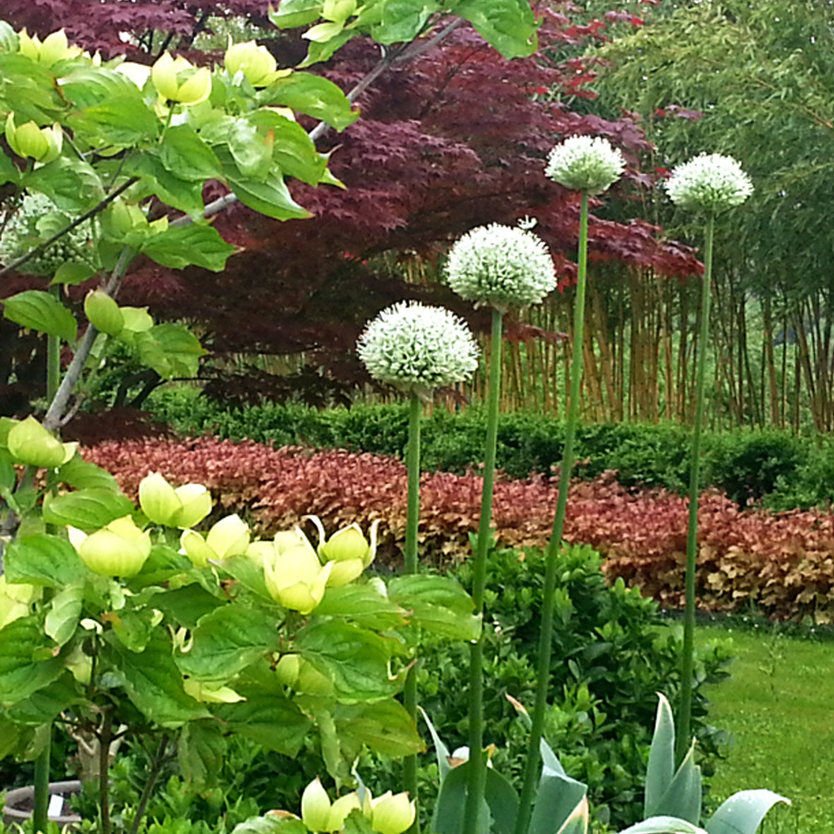 AUTREVILLE JARDIN SUR COTEAU