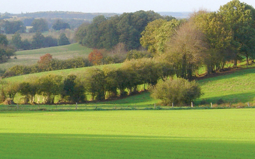 CANTON DE CARROUGES